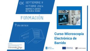 Curso Microscopía Electrónica de Barrido (SEM)