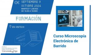 Curso Microscopía Electrónica de Barrido (SEM)